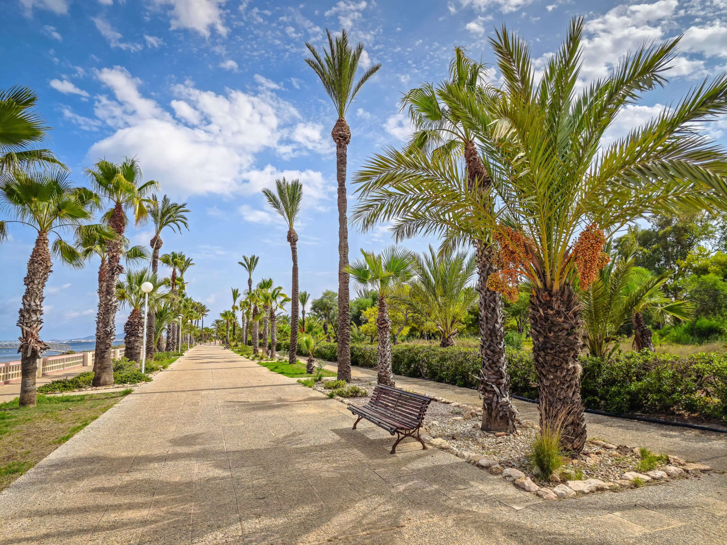 Occidental Mar Menor