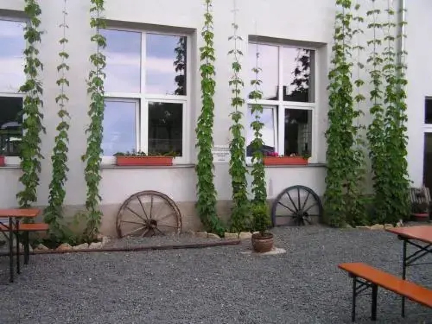 A Studio Veselka Litomysl