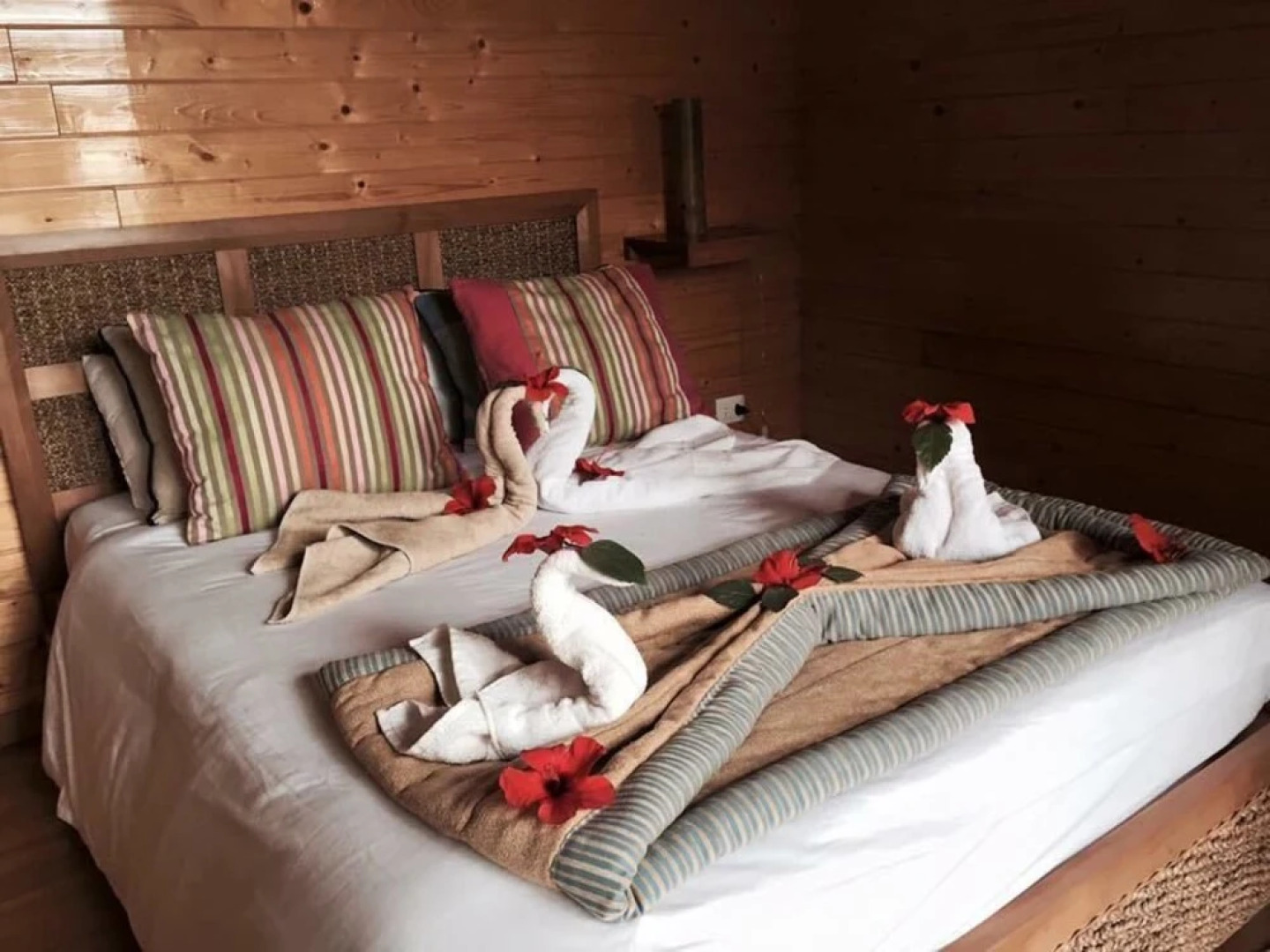 Ecolodge Dar Zitouna