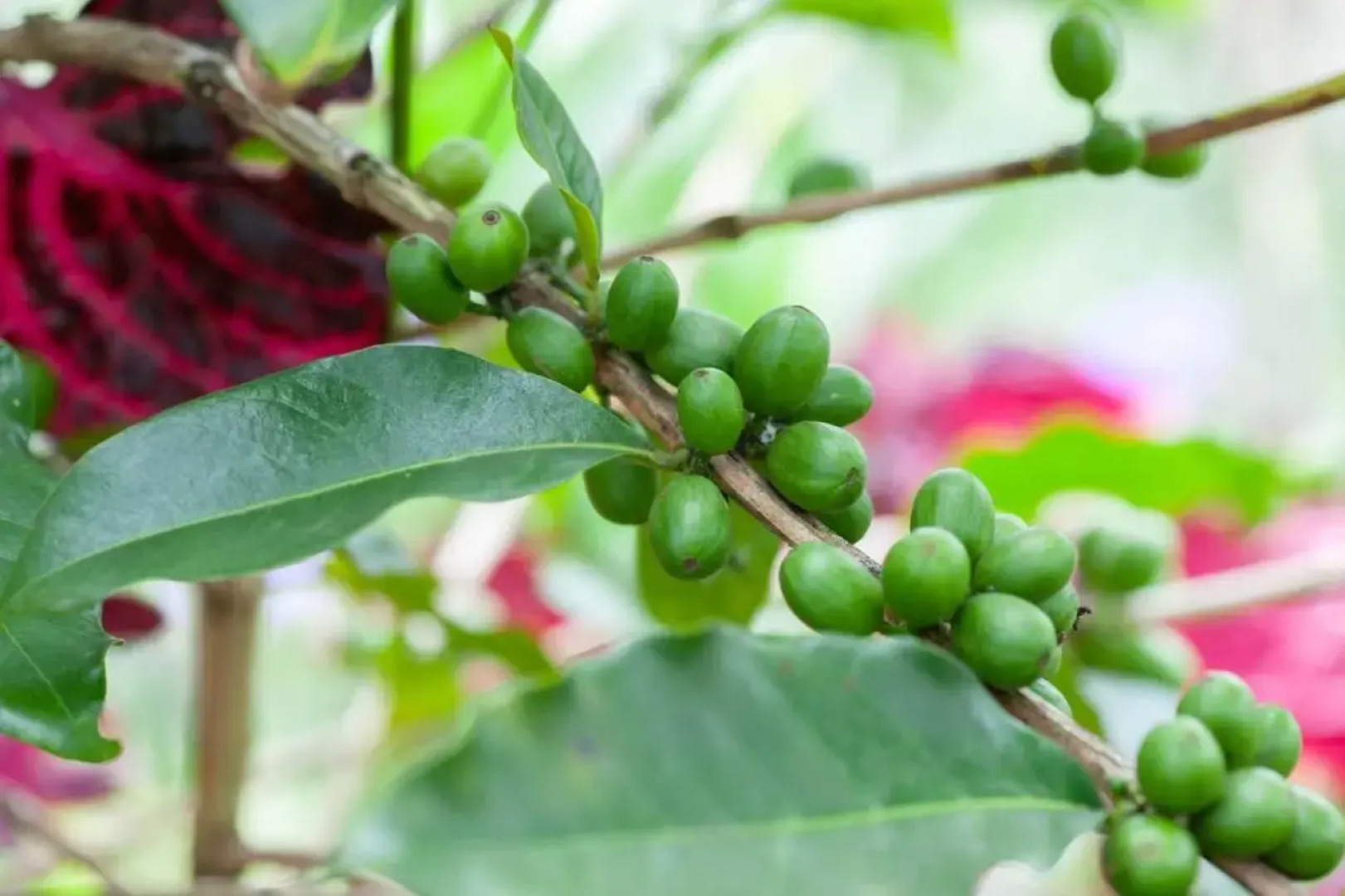 Rui Li Yinxiang Qu Homestay