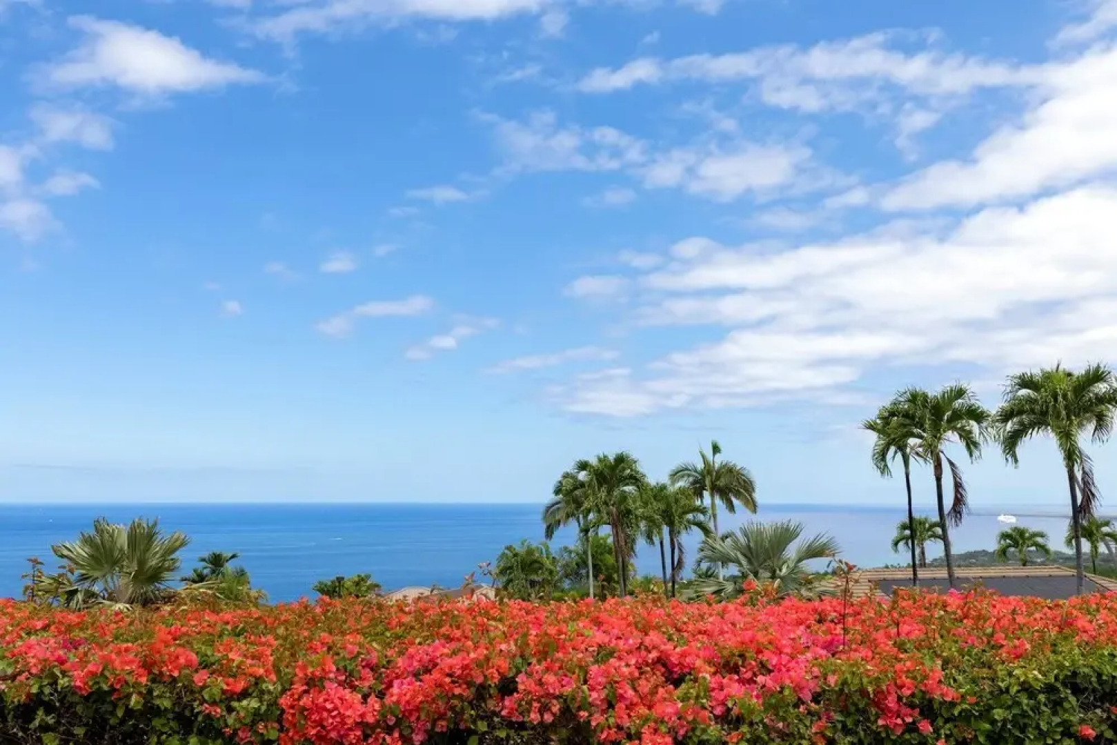 Hale Nene Pool, Hot Tub & Ocean Views!