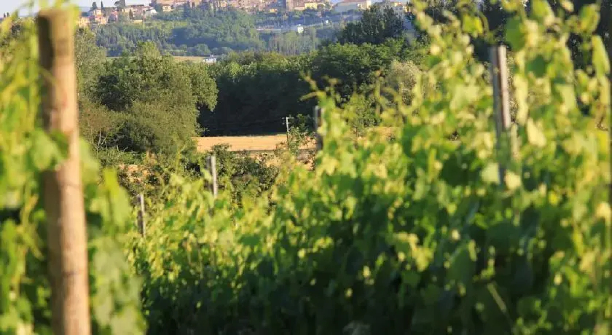 Borgo di Toiano Country Holidays