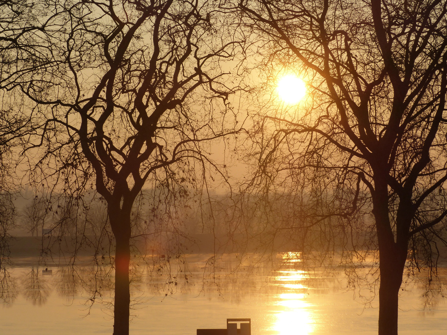 Hôtel Mercure Macon Bord de Saône