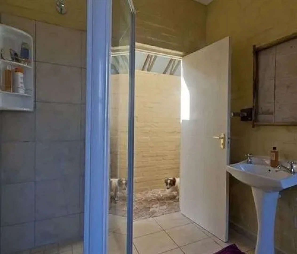 Aandkoor Betty's Bay Guesthouse