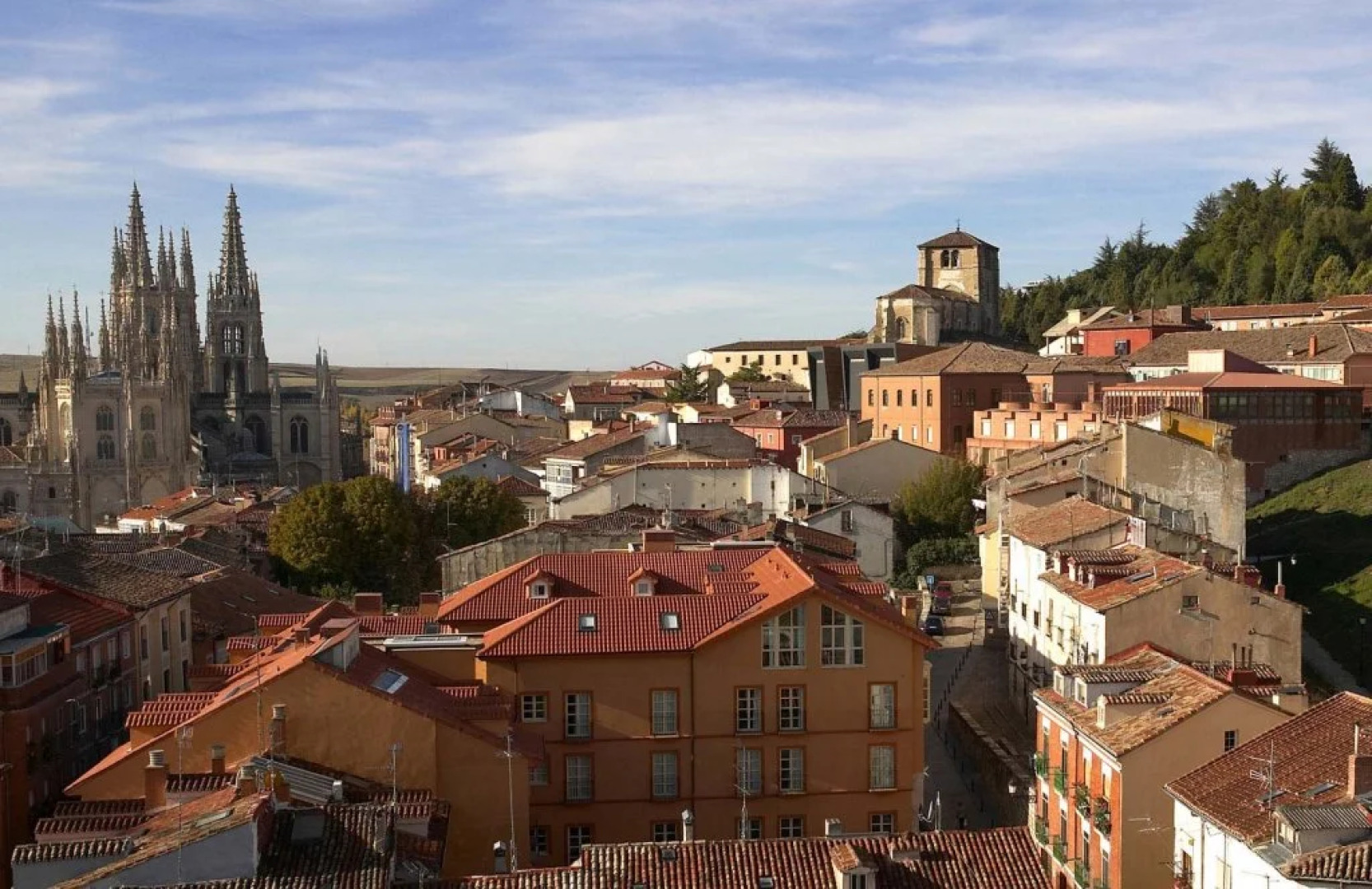 Отель Rice Palacio de los Blasones