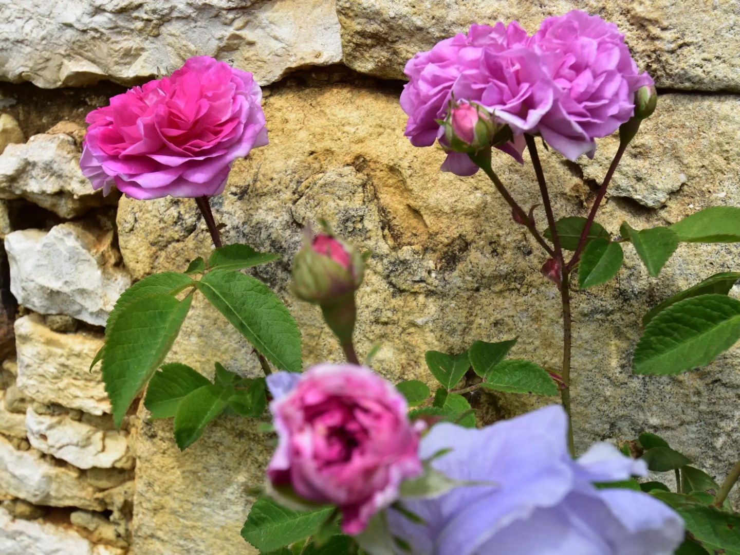 Rurally Located Holiday Home With Magnificent View, Close to Cazals