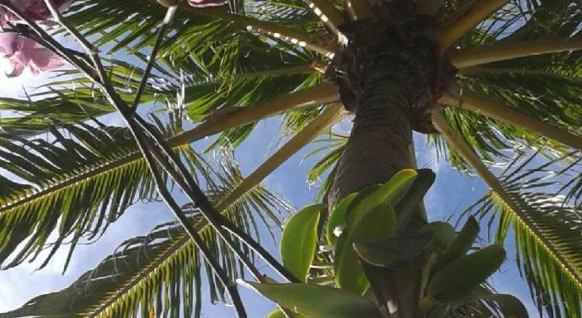 Southernmost Point Guest House