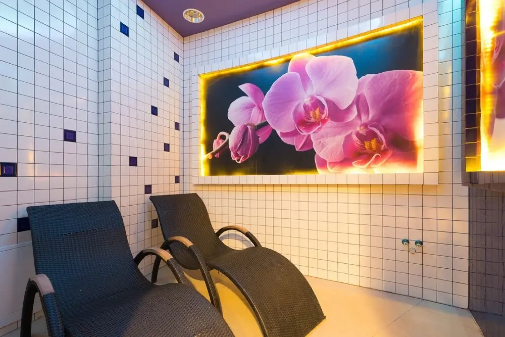 Primavera Jastrzębia Góra