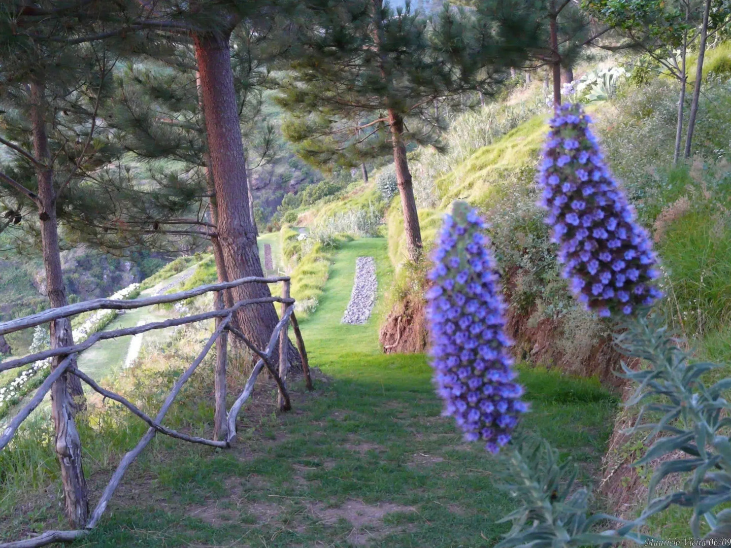 Hotel Jardim Atlantico