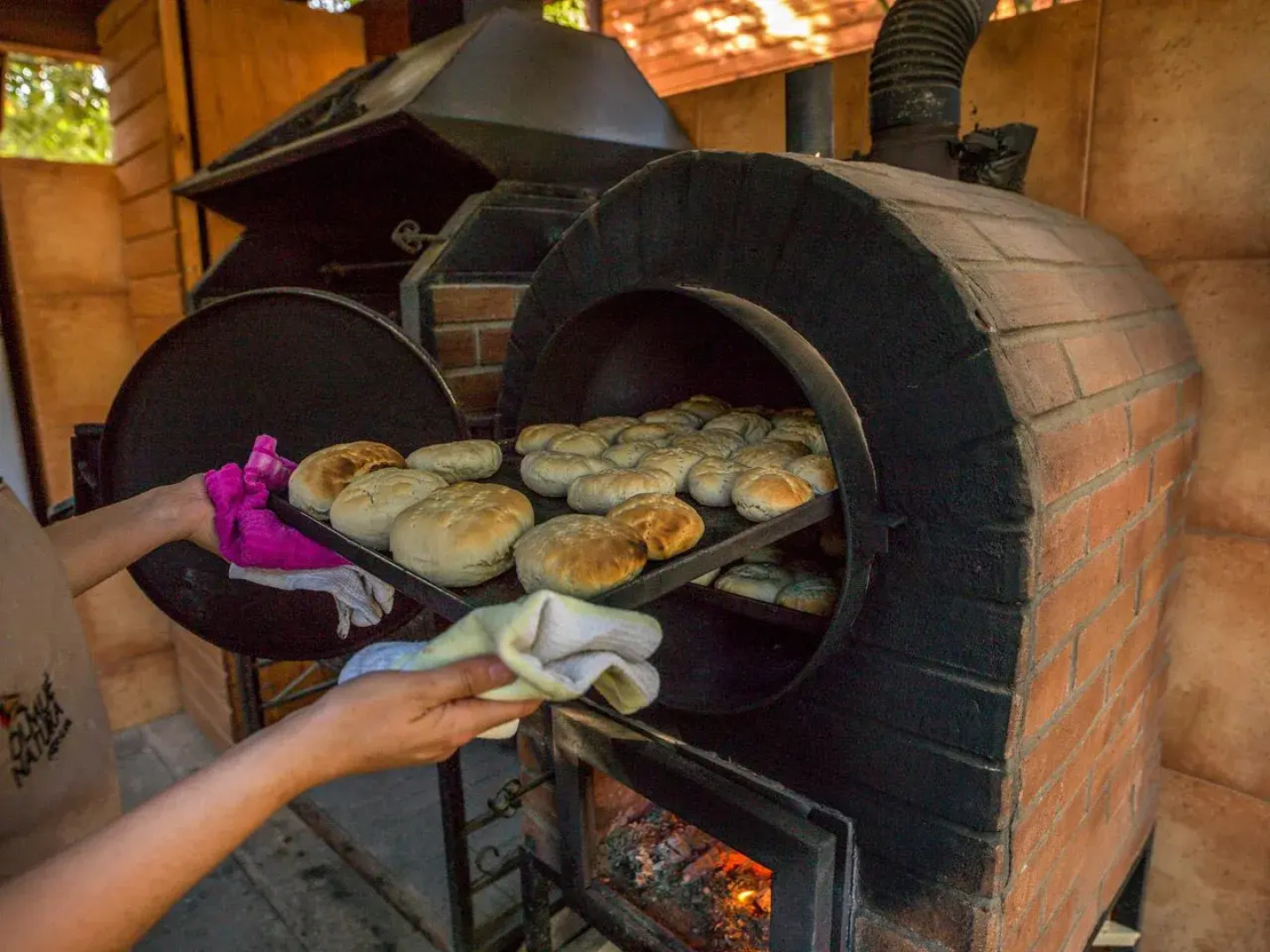 Olmué Natura Lodge & Spa