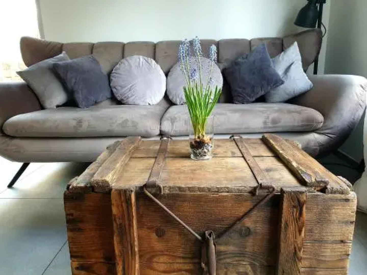 Zur alten Rebe Ferienhaus und Weingut