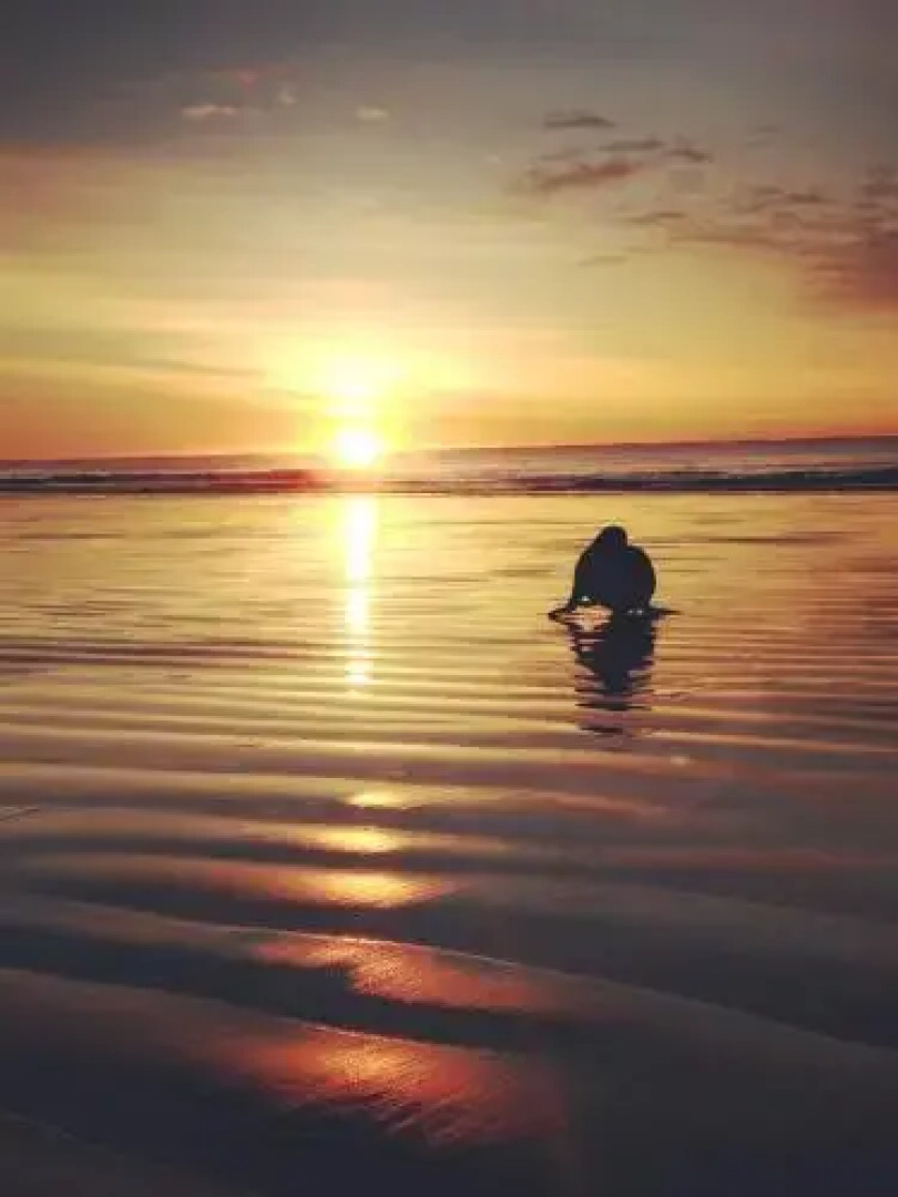 Seascape Accommodation