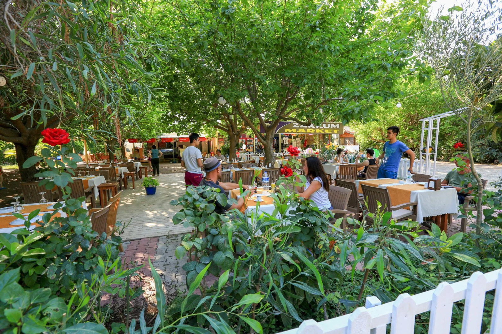 Cirali Zakkum Bungalow