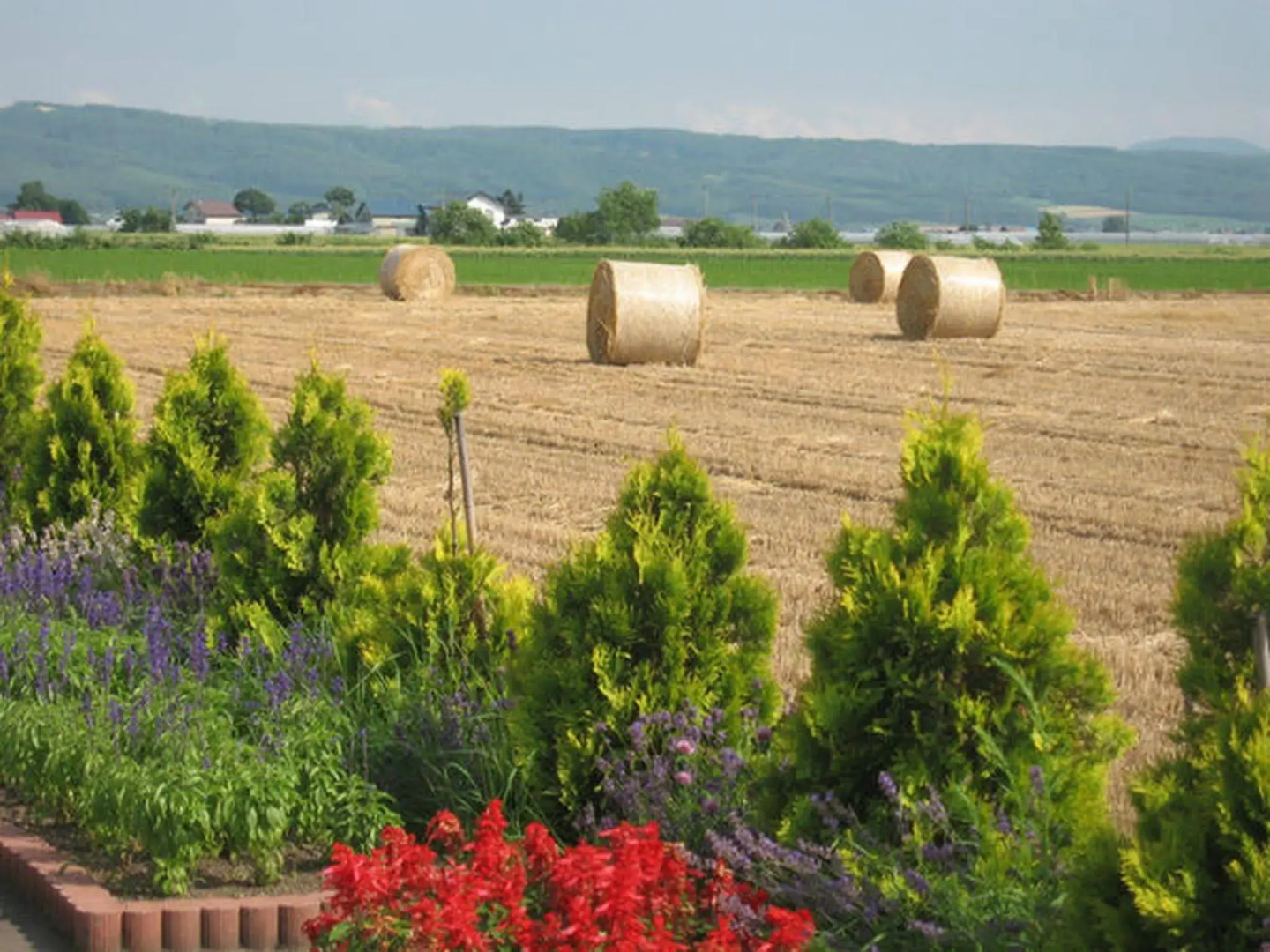 Petit Hotel Blanc Fleur