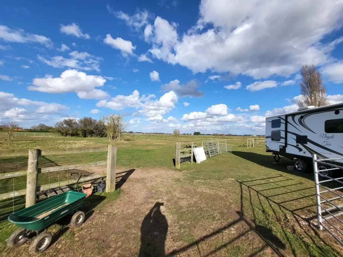 Glamping With Llamas