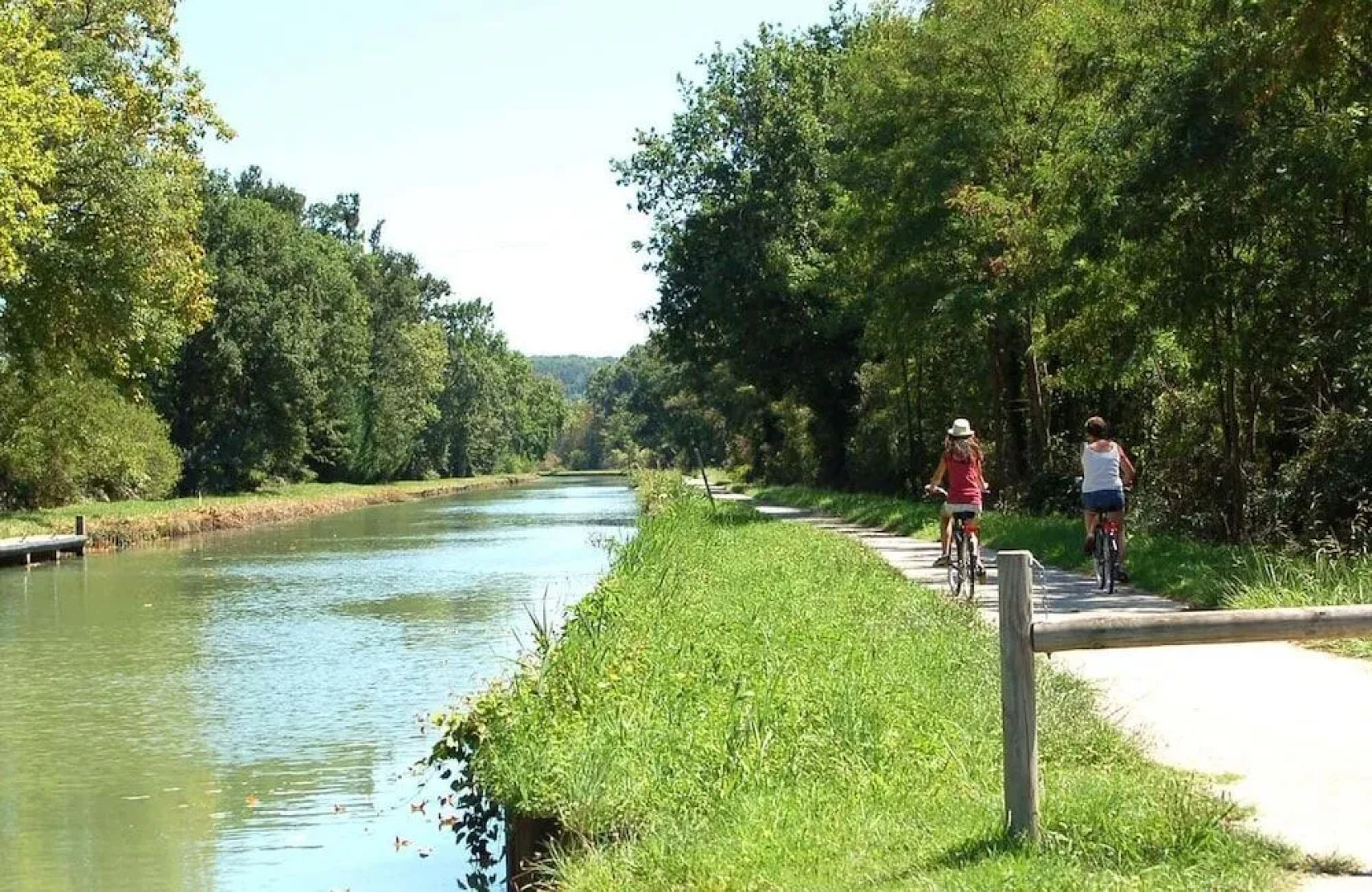 les tilleuls de la voie verte