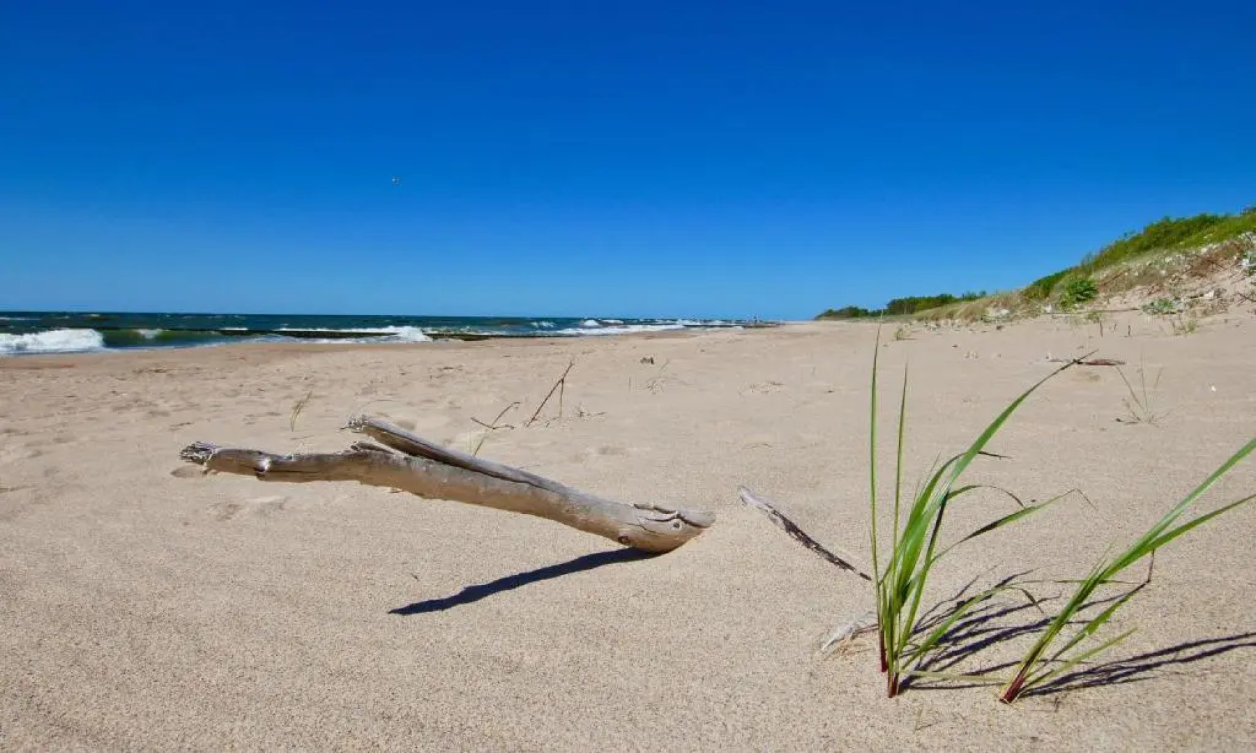 Apartamenty Bursztynowe Komnaty