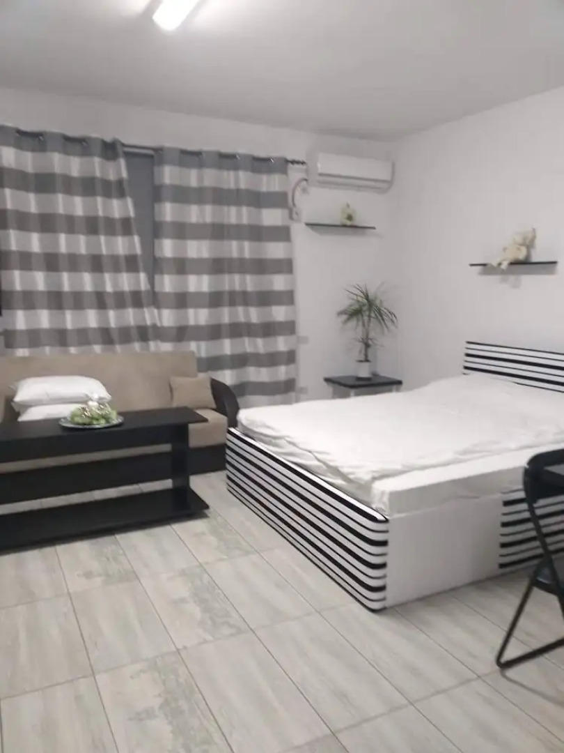Impeccable 1-bed Studio in Roșu