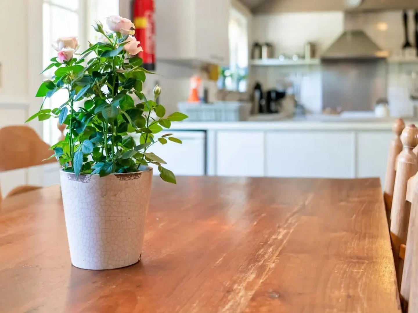 Farmhouse in Giethoorn by the Canals