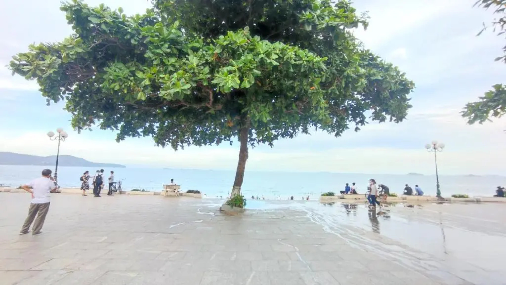 FLC Sea Tower Quy Nhơn 3 phòng ngủ 108m2