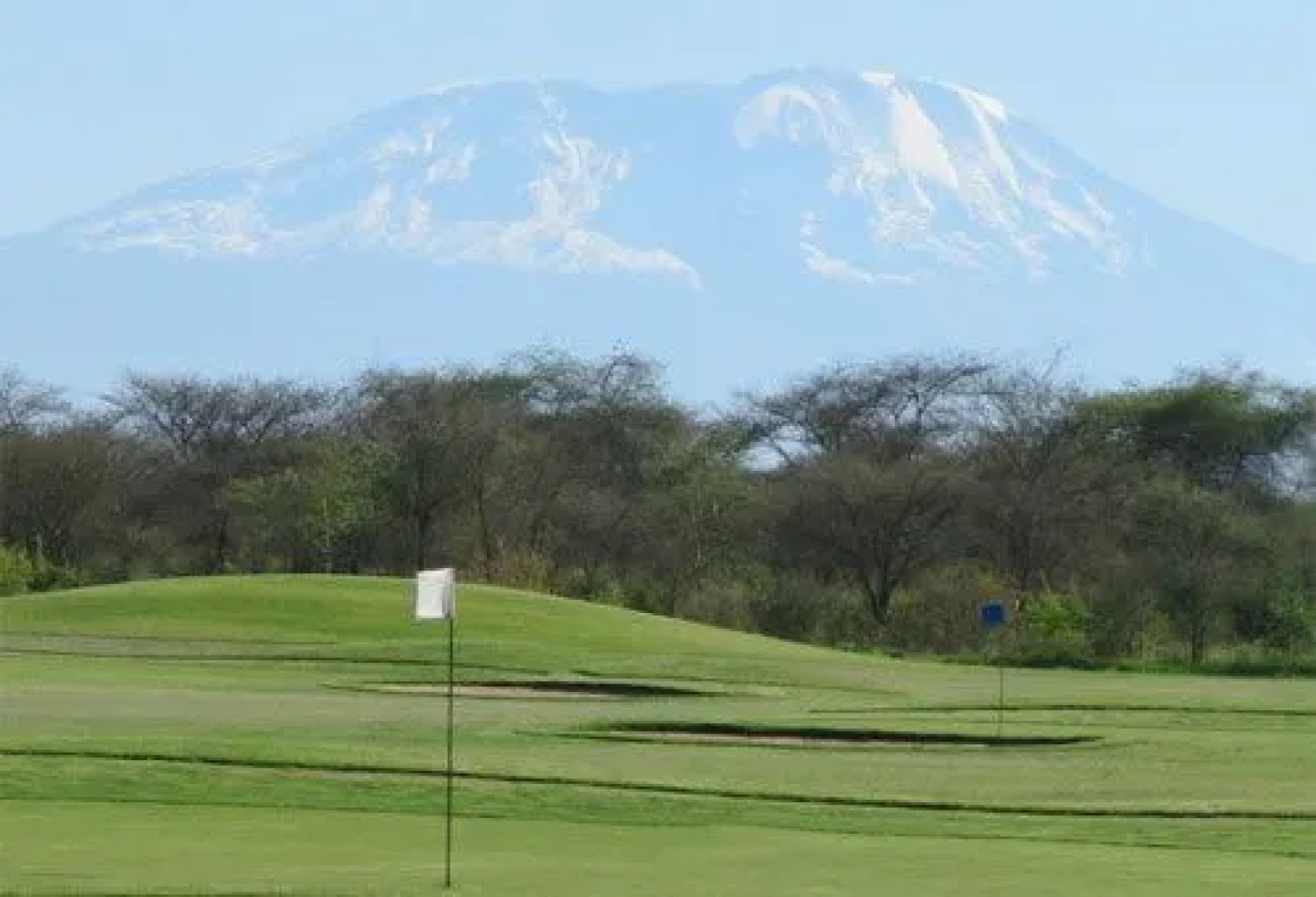 The Pink Daisy Bed and Breakfast
