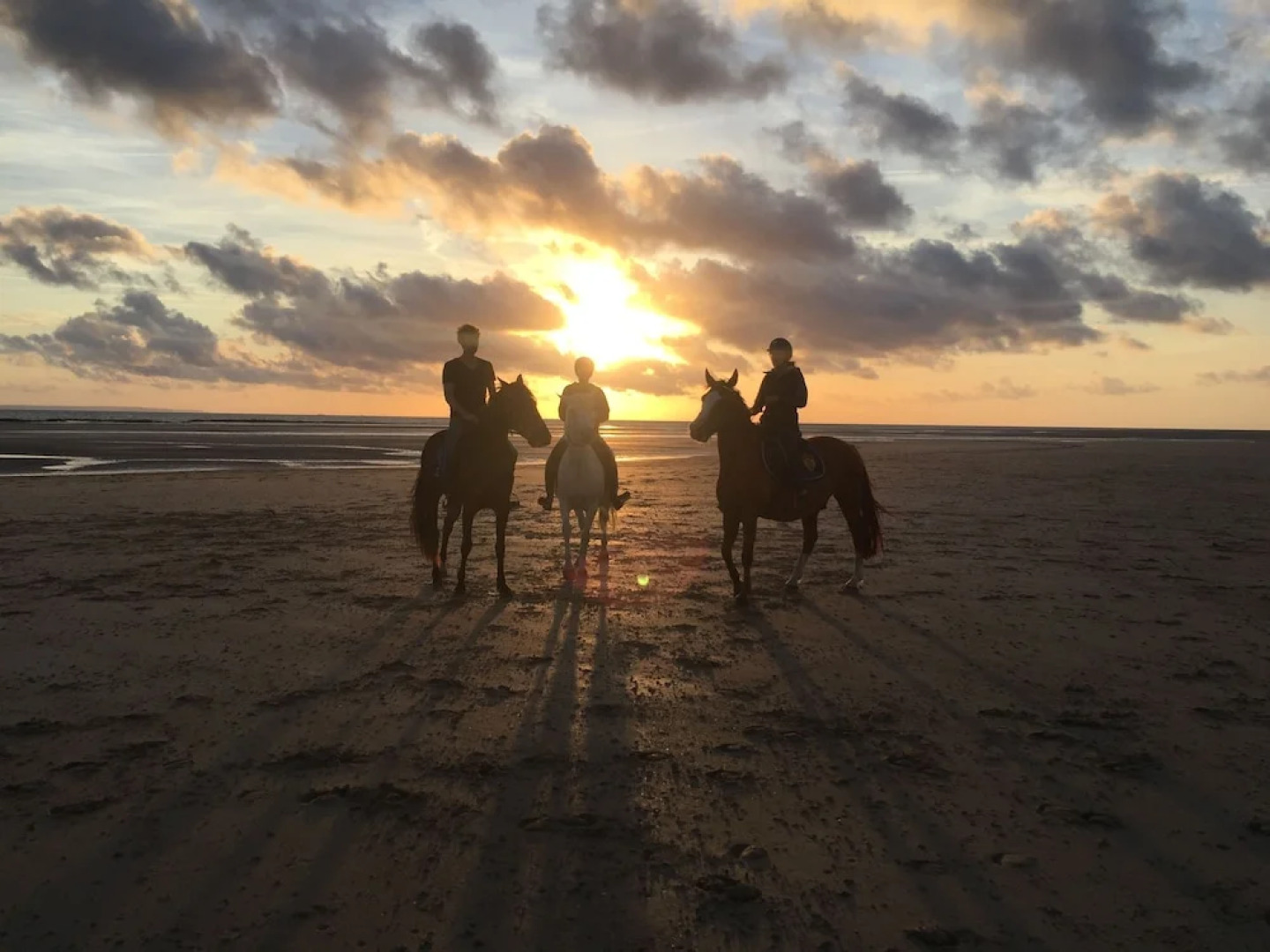 Ecurie Leseigneur - Château Médiéval