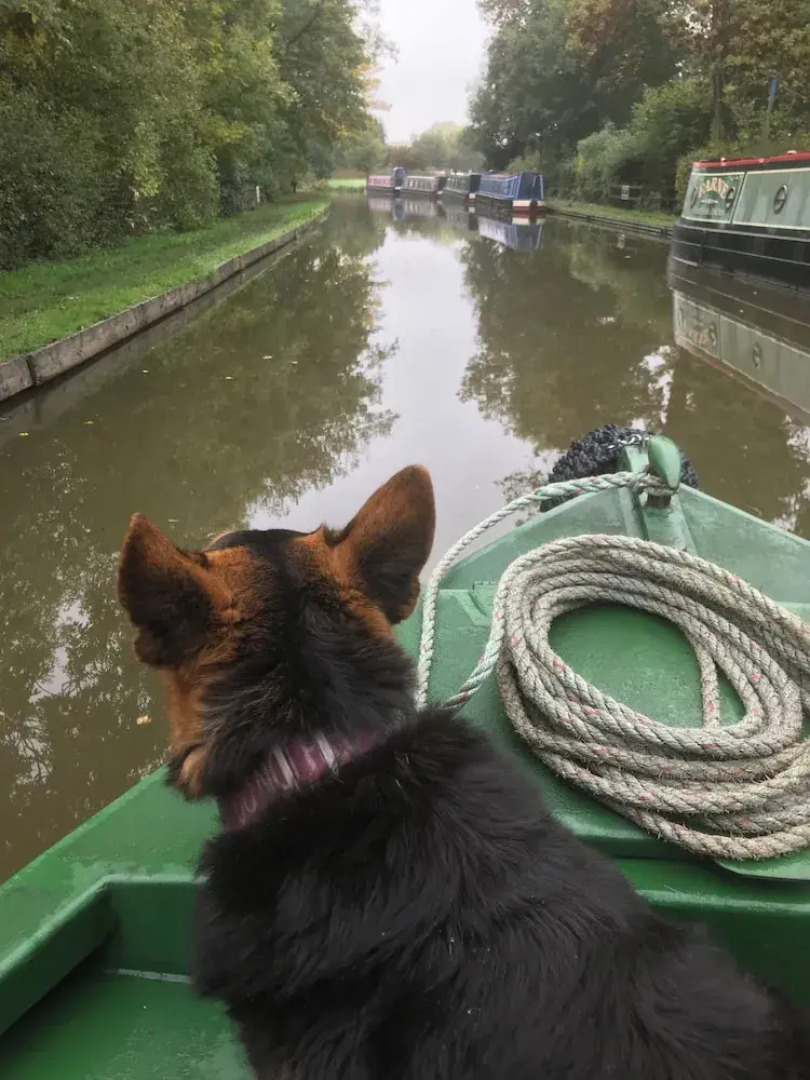 Stone - Boat - Sleeps 4 - Pet Friendly-85ws