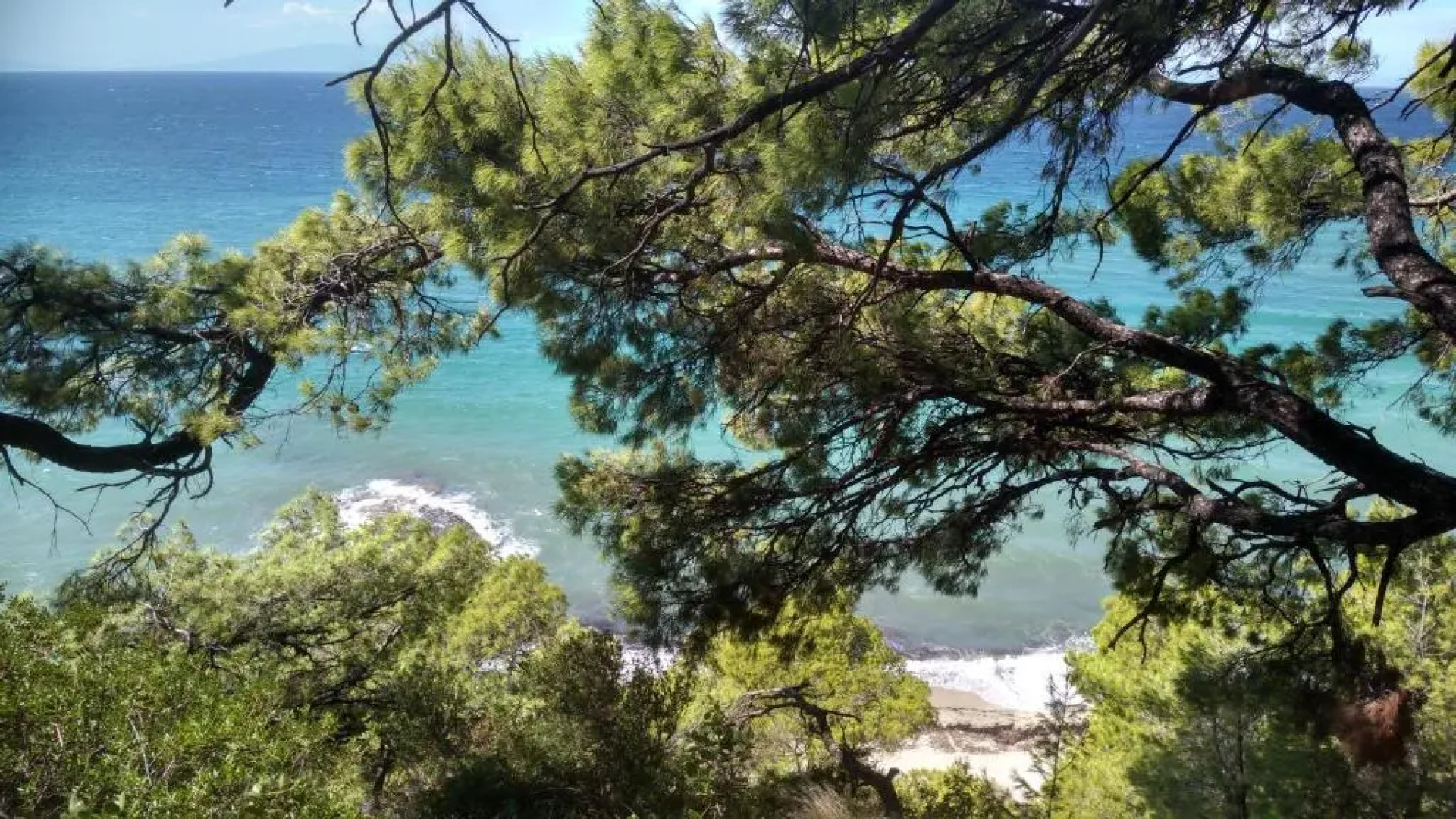 2-bed maisonette in pine forest, 250m from beach between Skala Fourka and Siviri