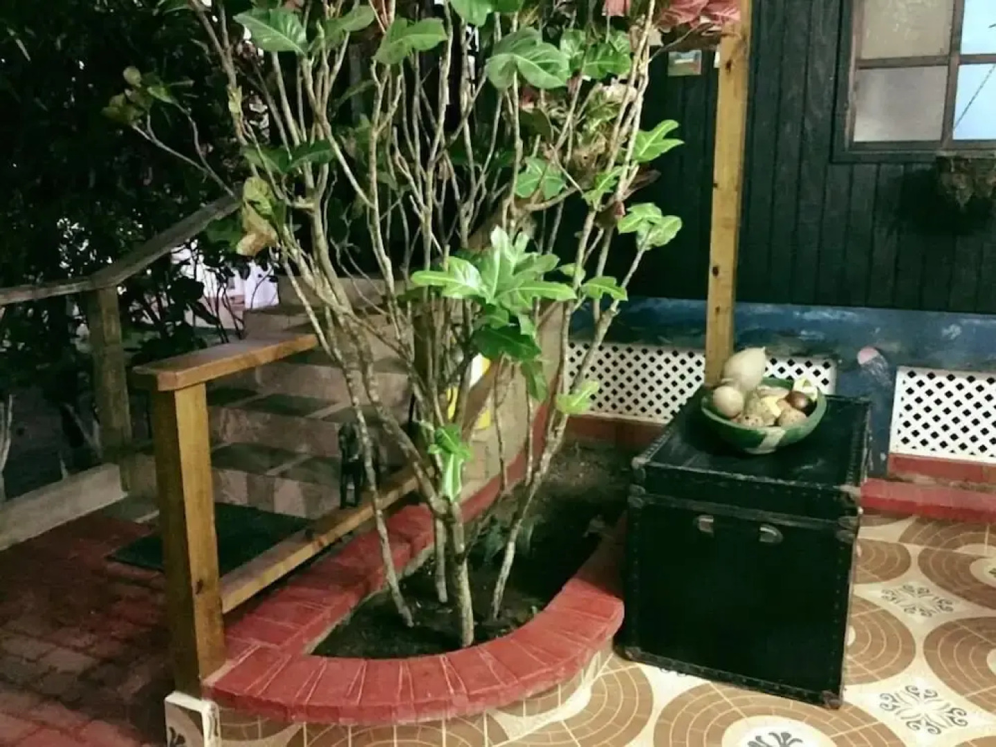 Posada Come So In The Bush