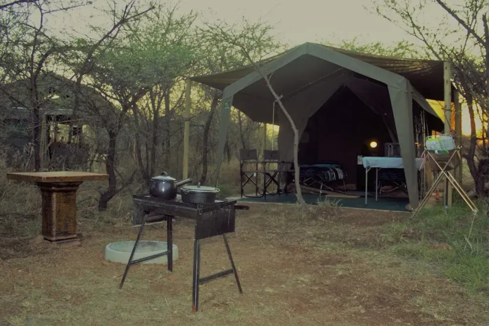 Thorn Tree Bush Camp