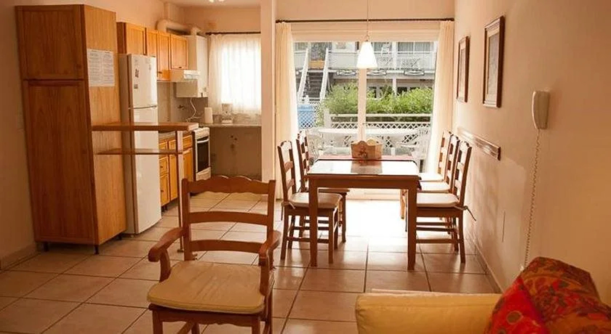 Arbol del Cielo Carilo