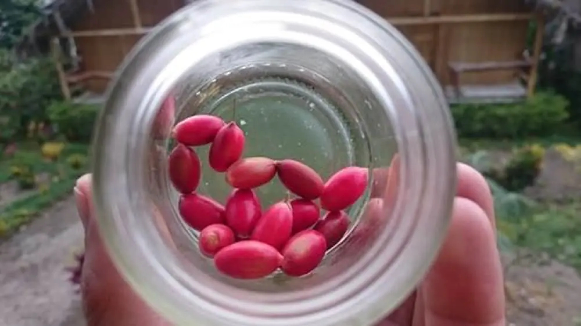 Hosteria Piedra De Vapor