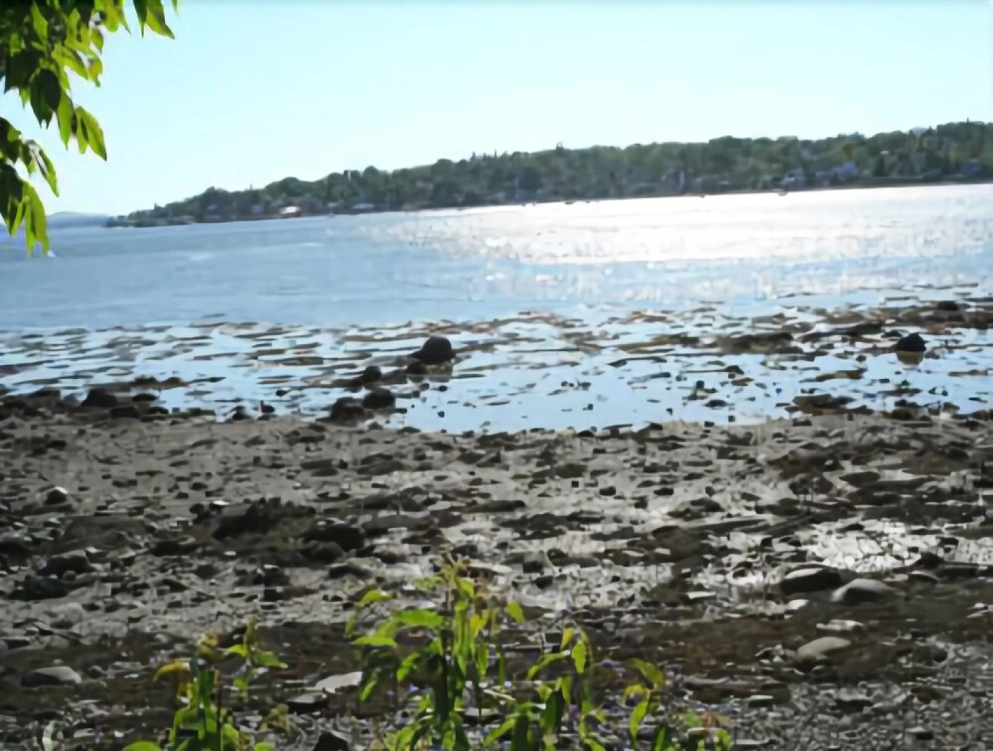 Bracken Cottage - Four Bedroom Home