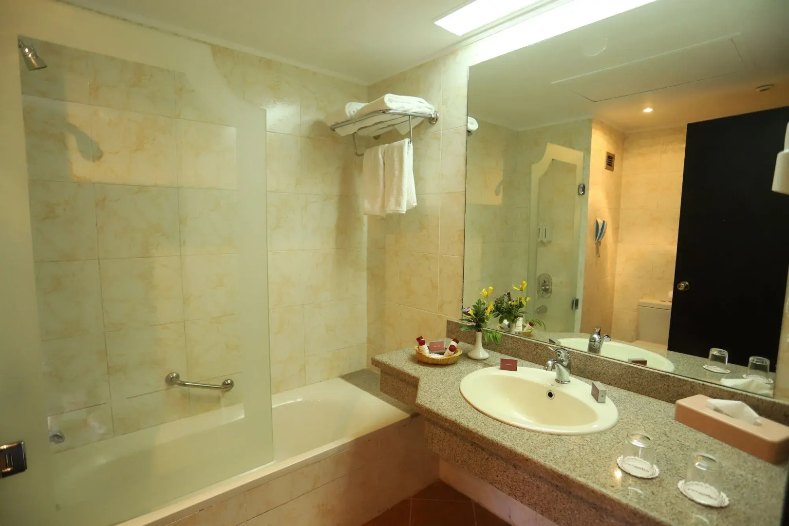 Pyramisa Island Hotel Aswan