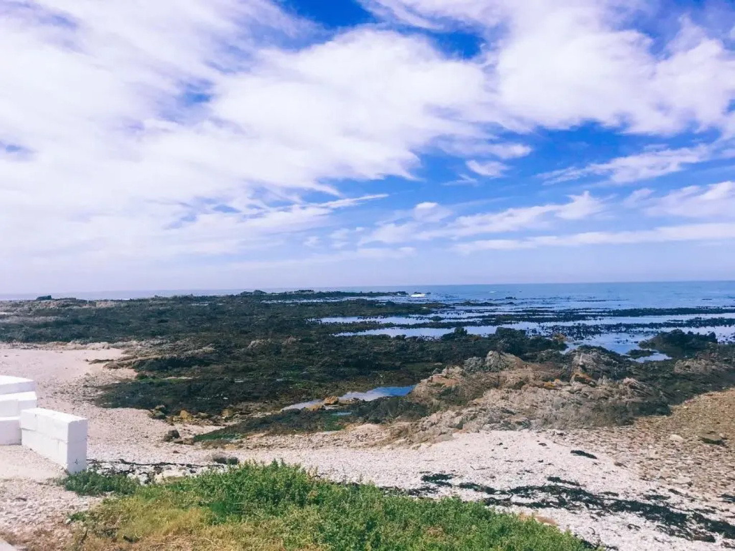 Periwinkle Selfcatering 8