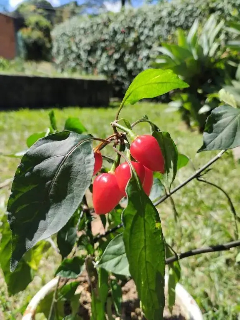 Suítes Aconchegantes em Miguel Pereira RJ!