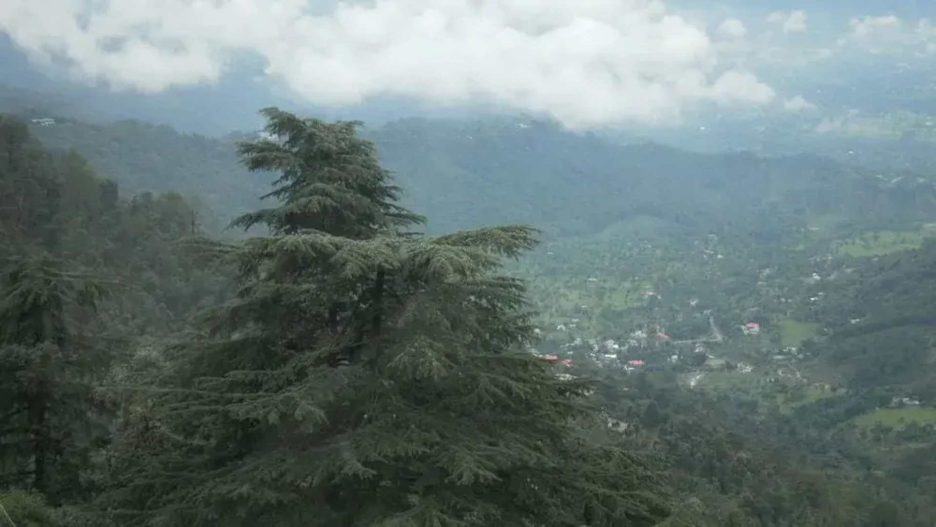 Pride Surya Mountain Resort Dharamshala