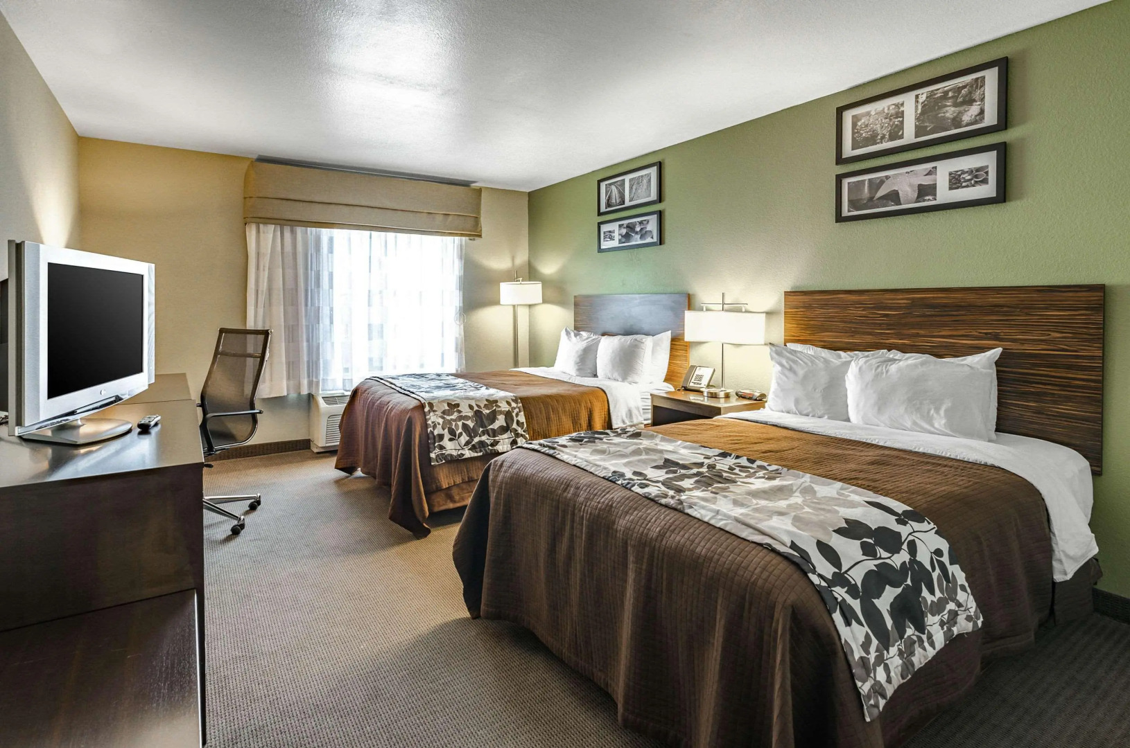 Sleep Inn Boone University Area