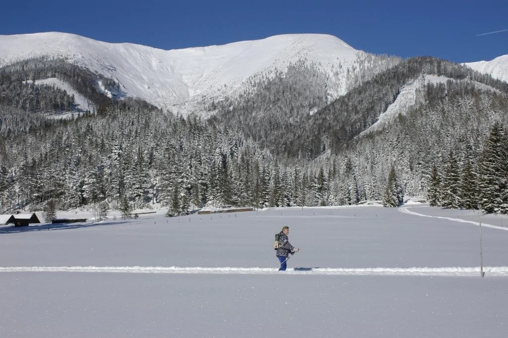 Gasthof Zum Niederhaus - Familie Perthold
