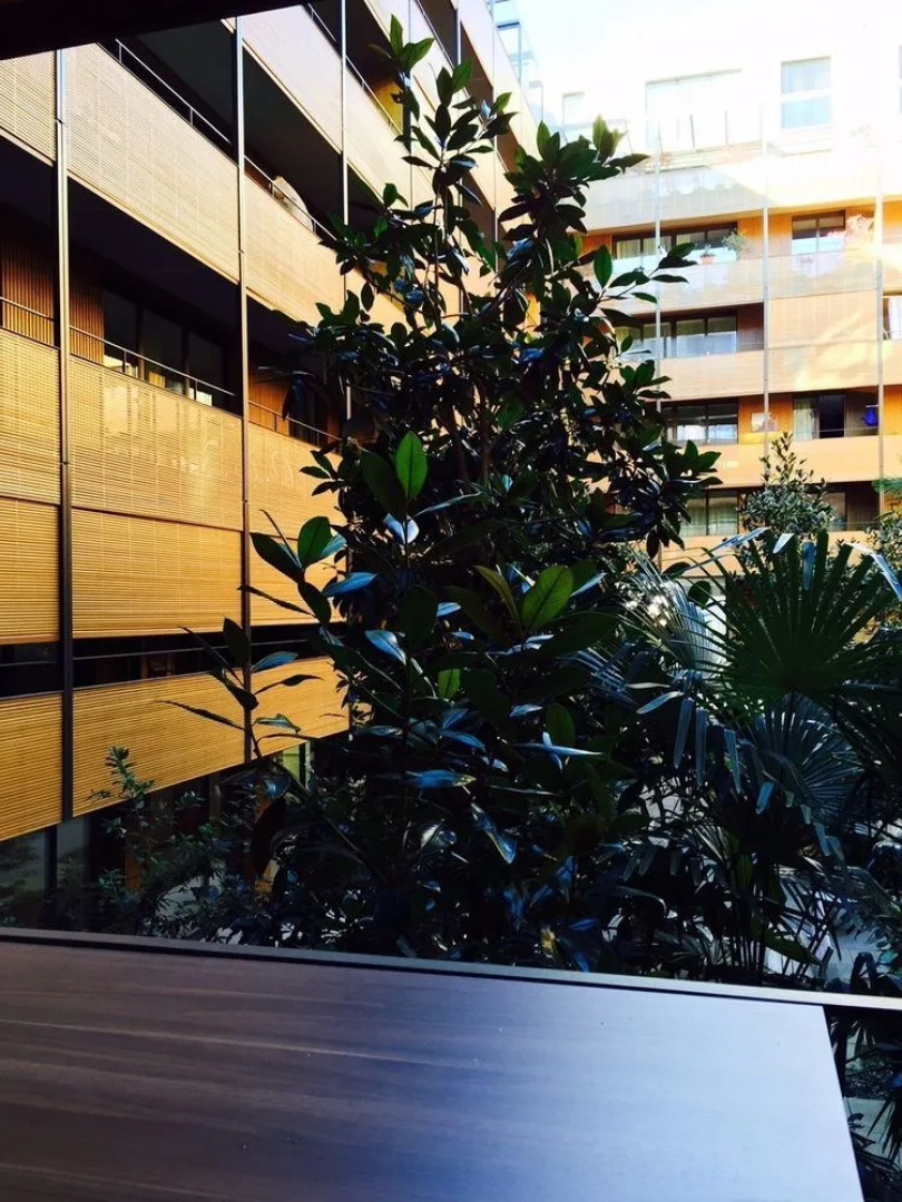 Central Apartments Lucerne