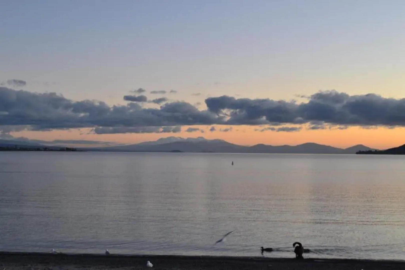 Colonial Lodge Motel