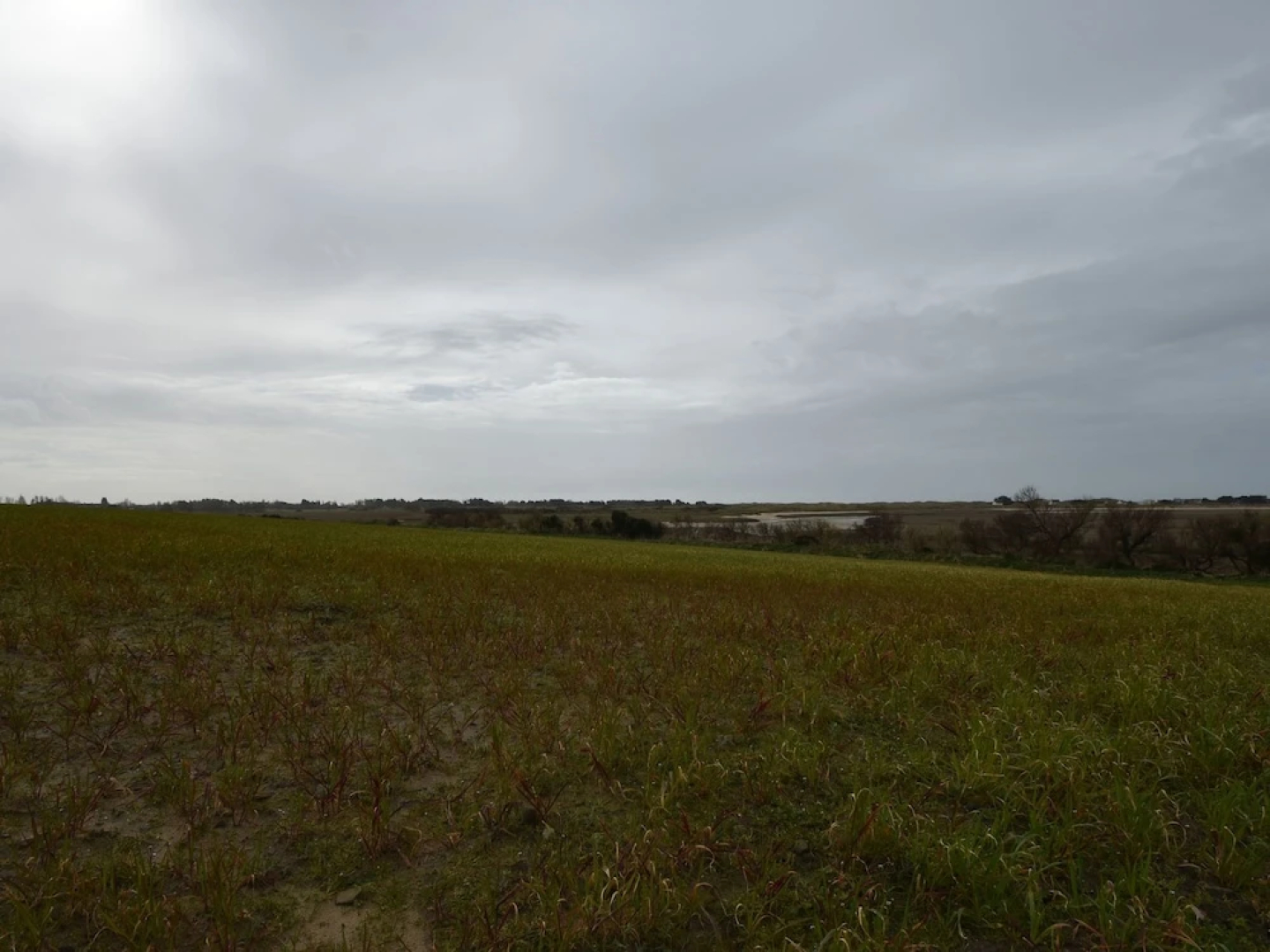 Beautifully Refurbished, Authentic Home in a Quiet Village Bordering the Coast
