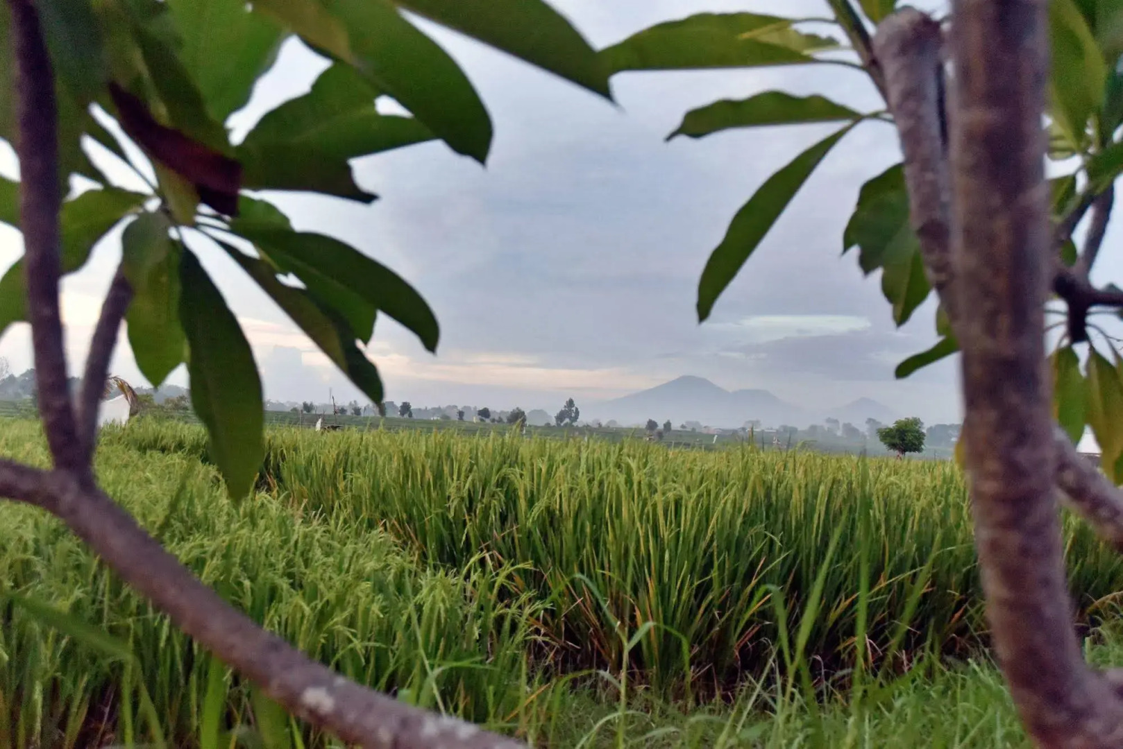 Villa Yenian by Villa Finder