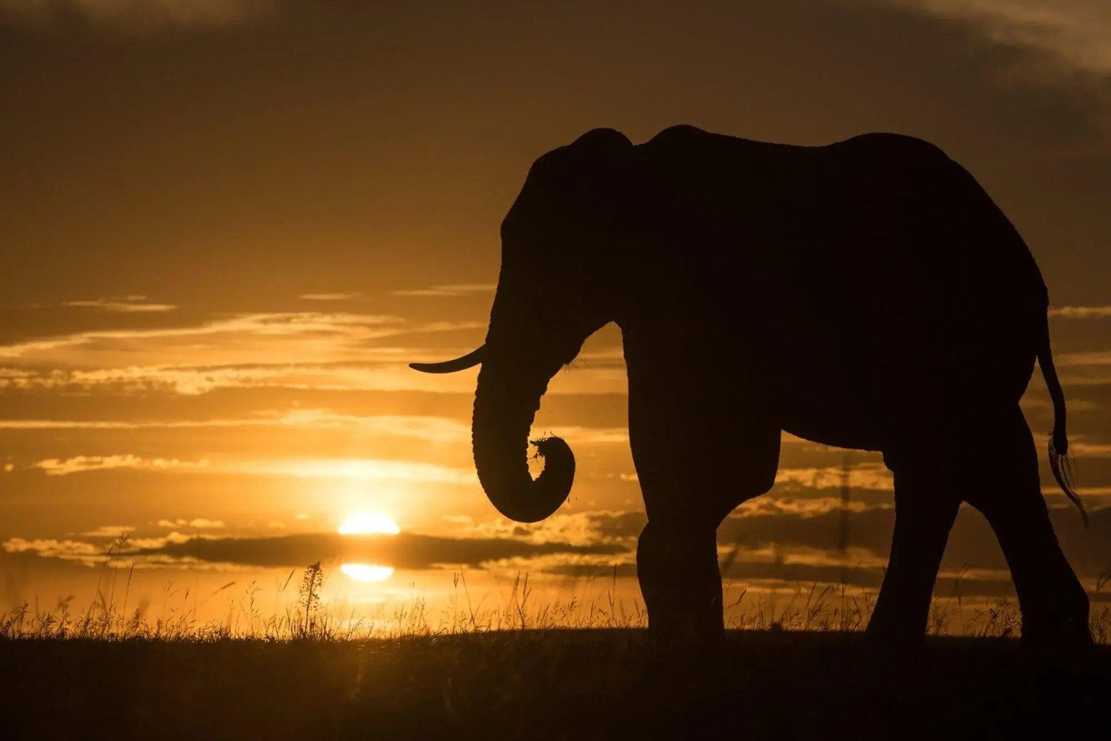 Shamwari Eagles Crag