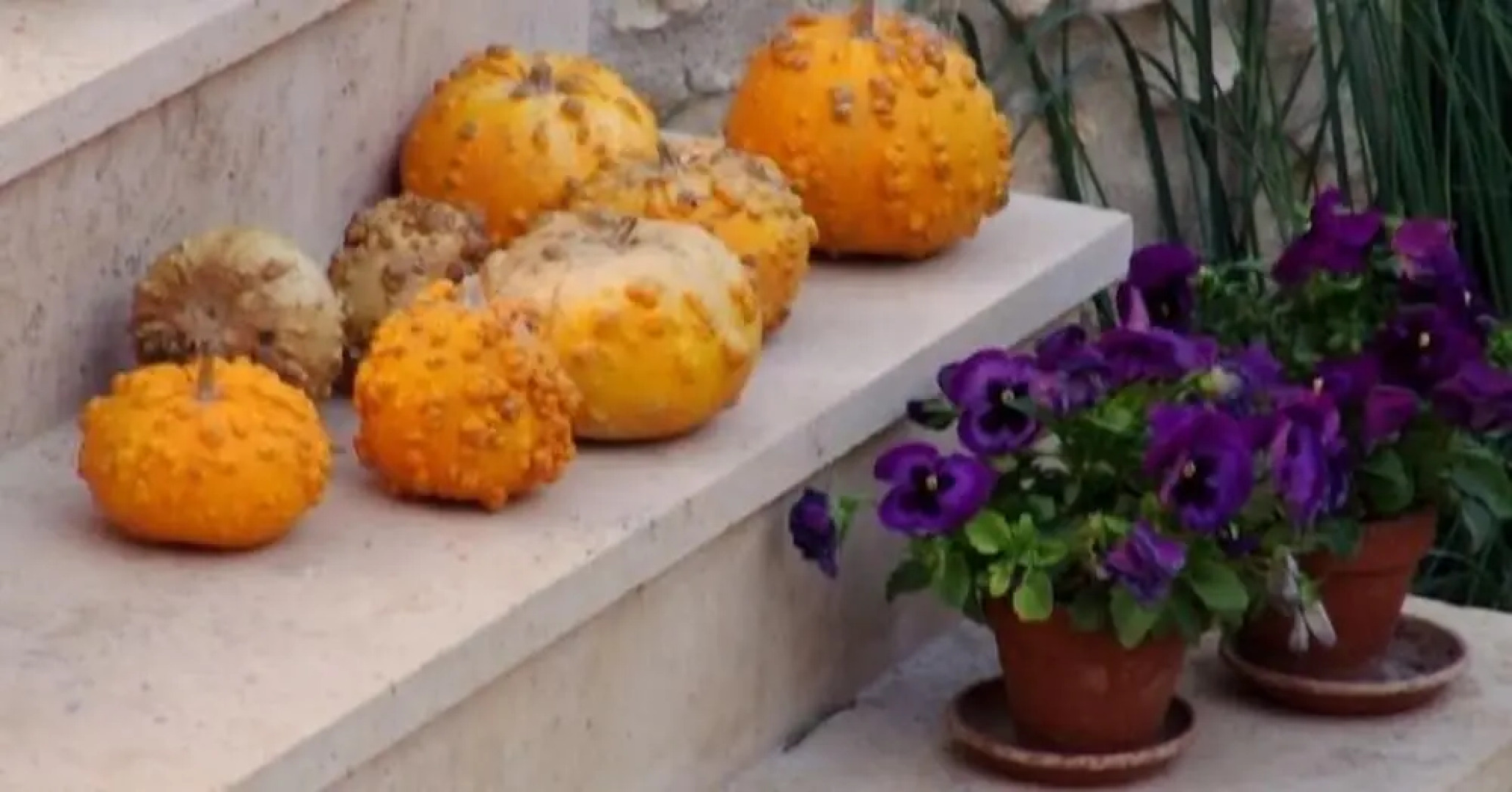 Hotel Rural Casa de La Marquesa Chinchón