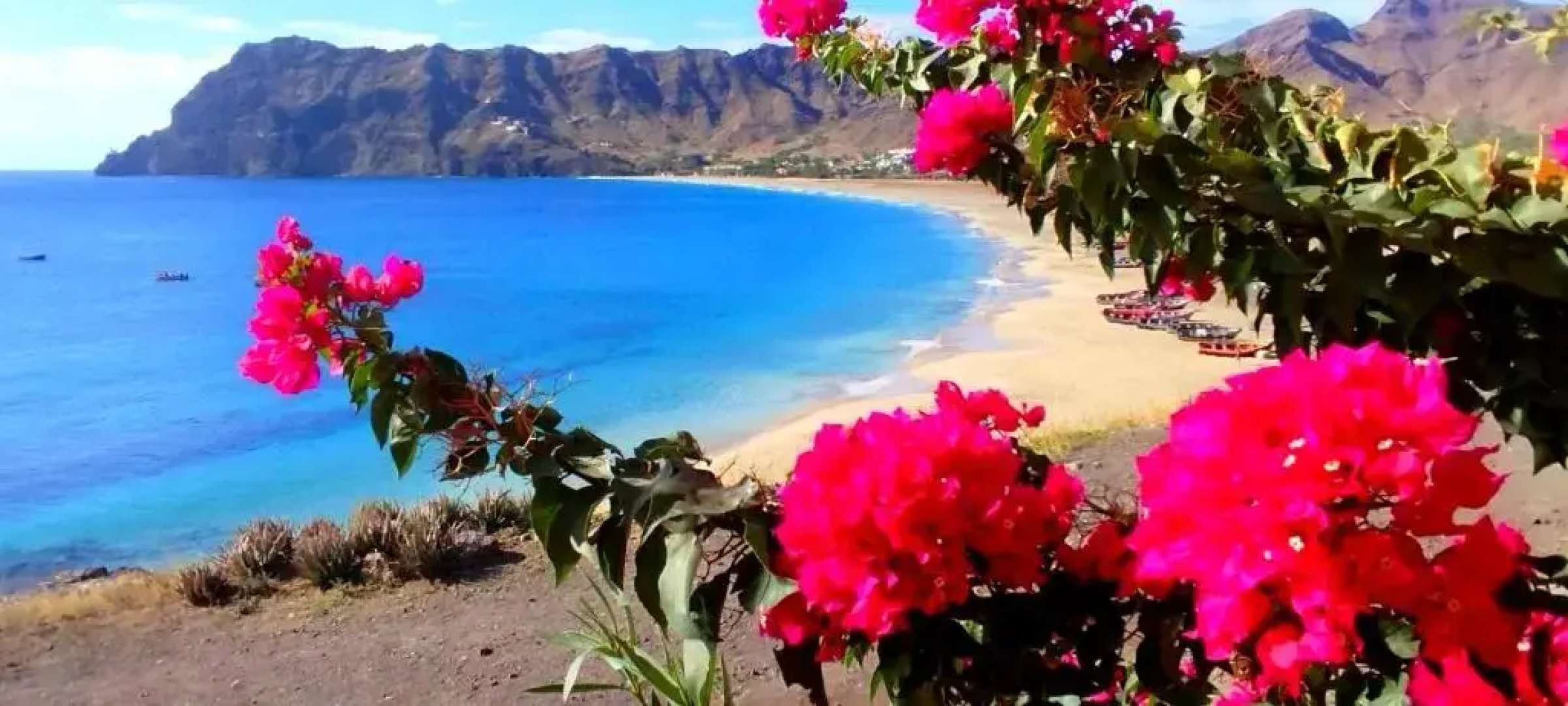 Rose`s place