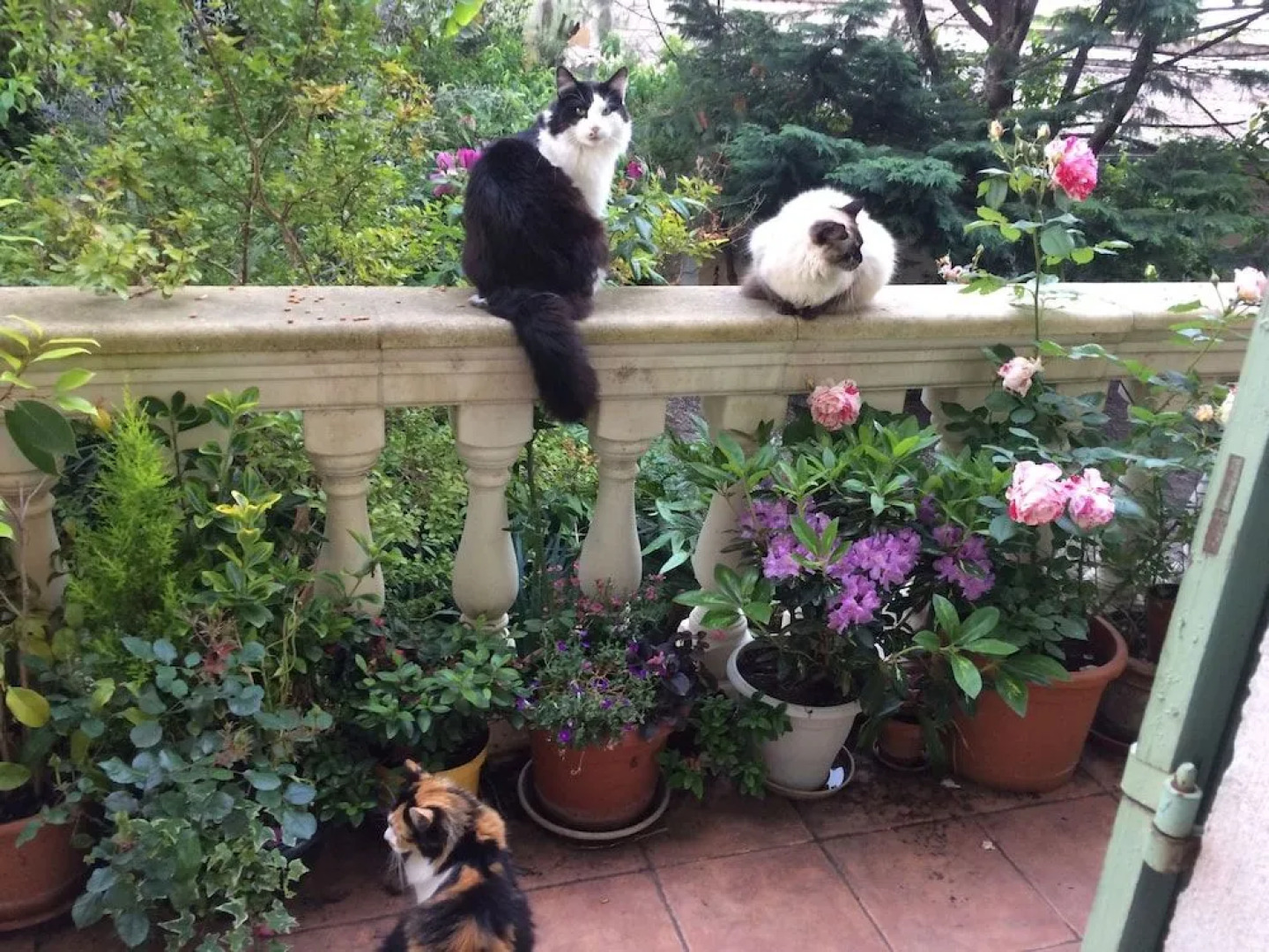 Azienda Salamo Villa Leona