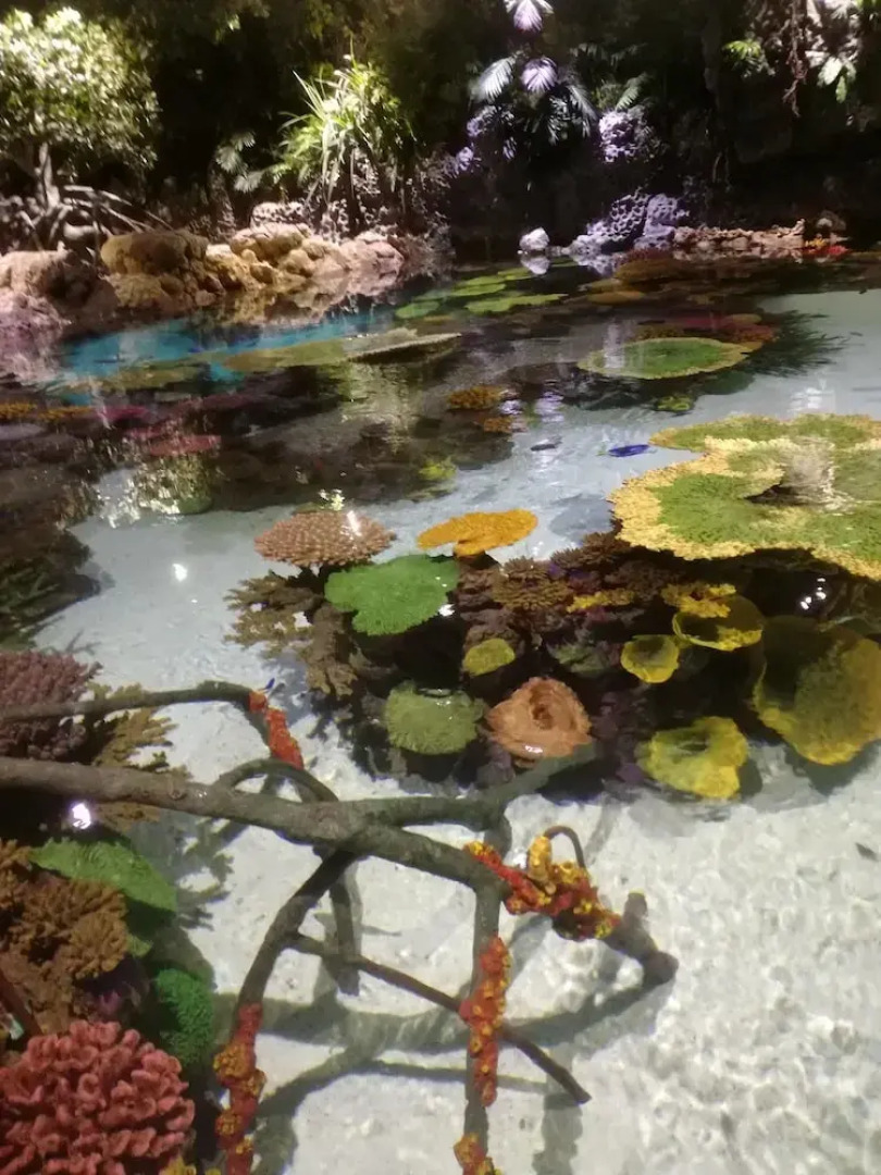 Bungalow With 3 Bedrooms in Nr Driffield - 250 m From the Beach