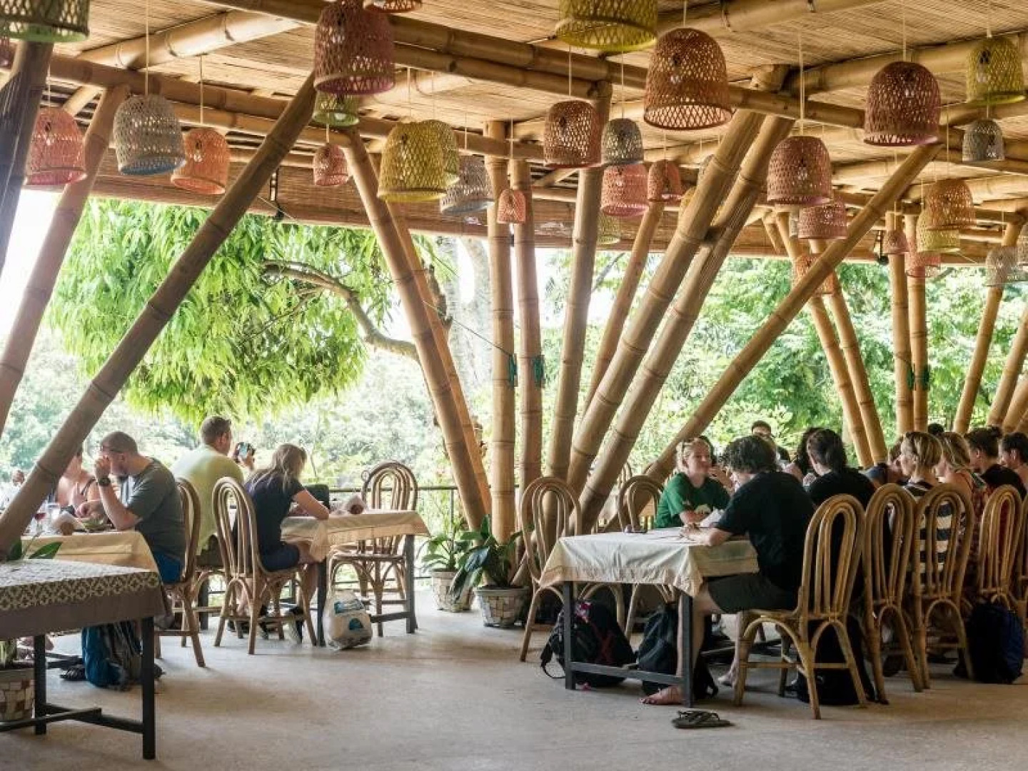 Ecolodge Bukit Lawang - Hostel