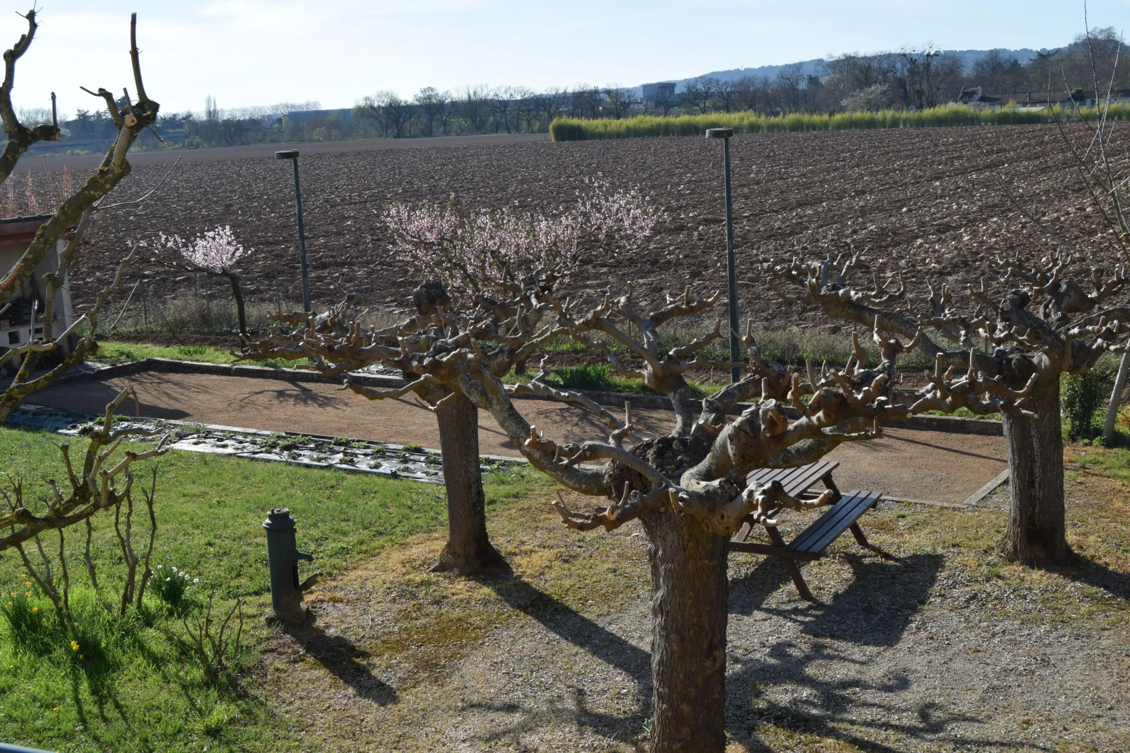 Le Nid de l'Ecureuil